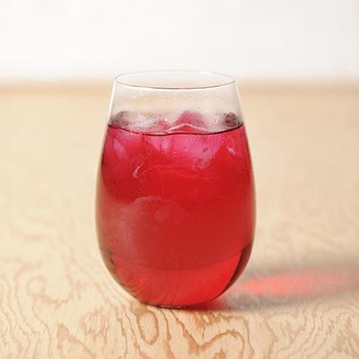 ふるさと納税 登米市 赤しそジュースキットSHISON(煮出し用乾燥赤紫蘇/クエン酸付き)500ml原液用