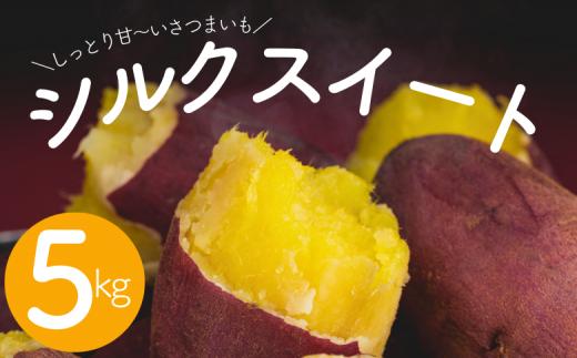 なめらかで絹のような舌ざわりの甘～い サツマイモ シルクスイート5kg  先行予約 ［岩澤さんの さつまいも ］