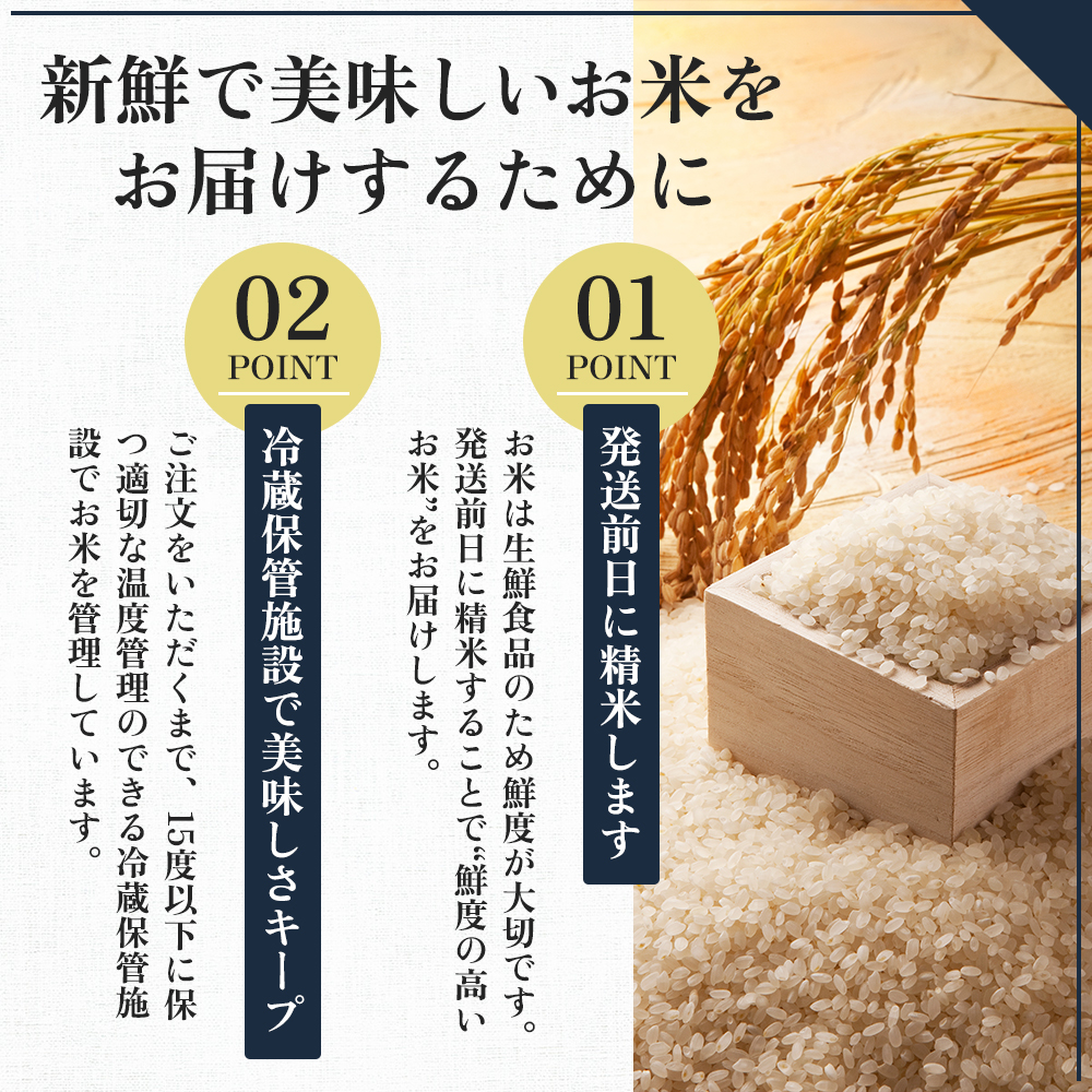【先行予約】令和8年産 定期便 コシヒカリ特別栽培 精米 5kg×6カ月