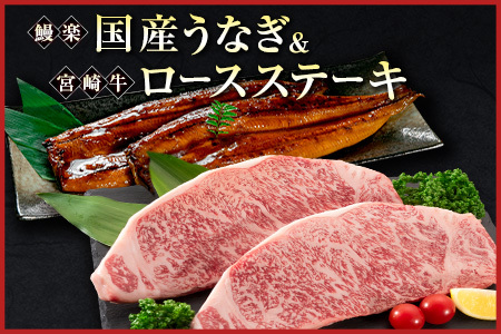 鰻楽 国産うなぎ 2尾 計360g ＆ 宮崎牛 ロースステーキ 250g×2枚 計500g 肉質等級4等級 国産 人気 おすすめ【C129-2510-90】