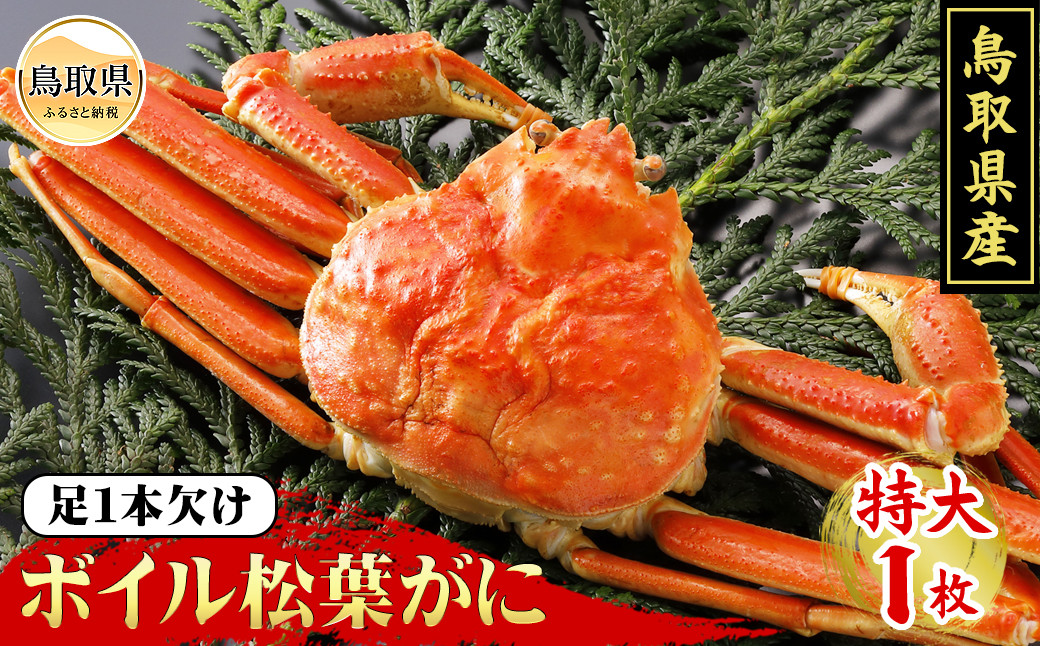 
                  鳥取県産　浜茹で松葉がに　特大（訳あり）【期間限定】_T2600093 ふるさと納税 鳥取 かに カニ 蟹 海鮮 海の幸 冬の味覚 数量限定 訳あり
                
