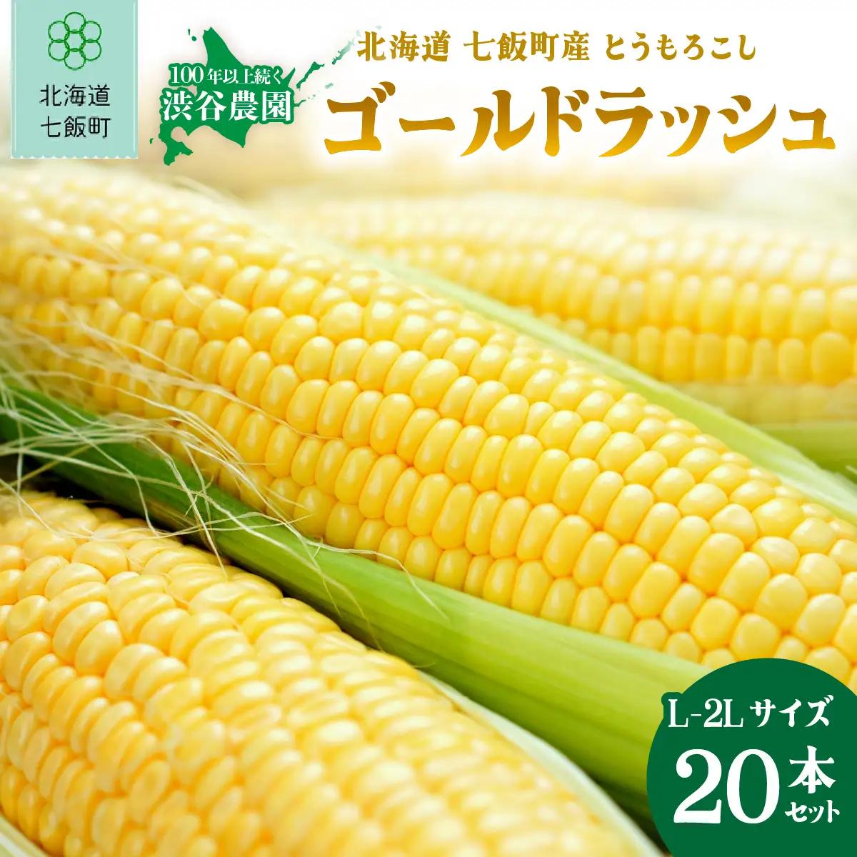 北海道 七飯町産 朝獲れ とうもろこし 「ゴールドラッシュ」(L-2Lサイズ) 20本セット NABT005