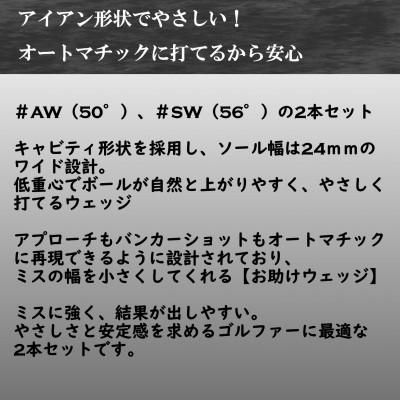 ふるさと納税 小山市 ゴルフクラブ ウェッジ BLASTER #AW #SW 2本セット フレックスR 特別仕様 |  | 01