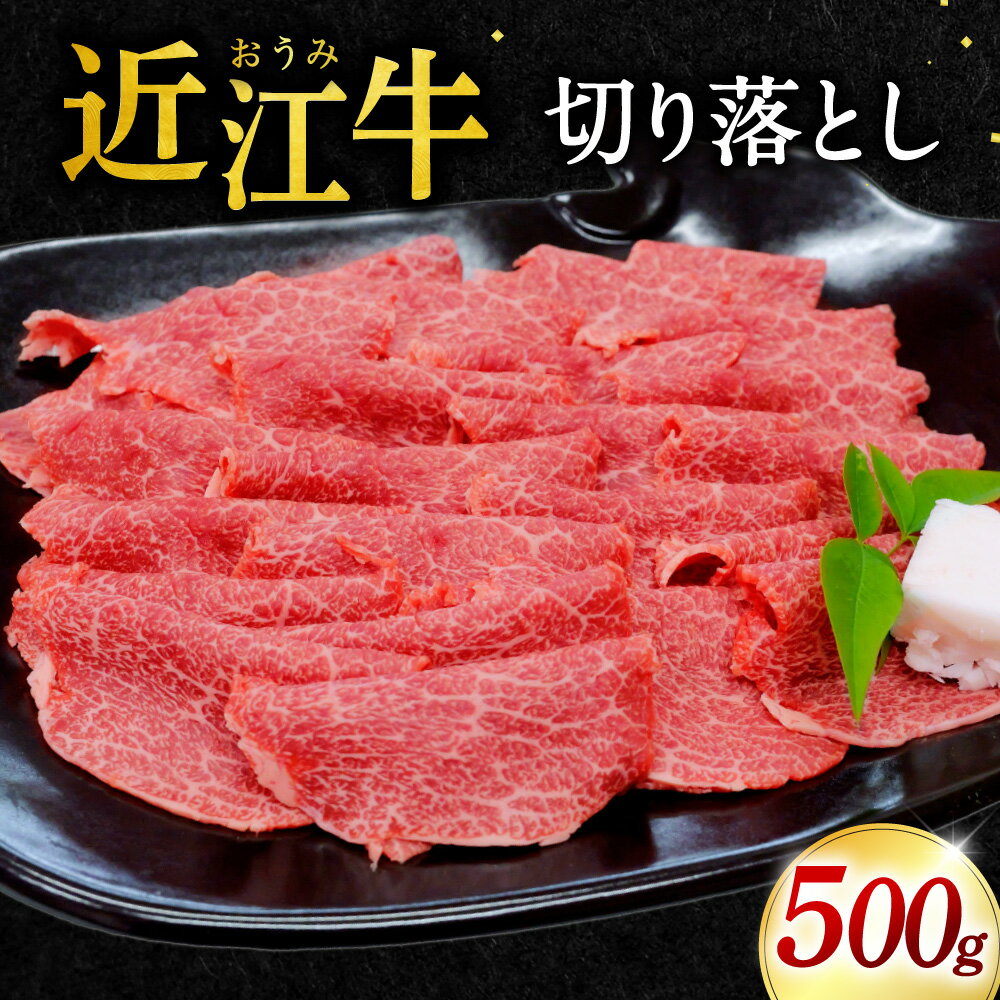 【ふるさと納税】近江牛 切り落とし 500g 本多商店 滋賀県東近江市A-G06 近江牛 切り落とし 牛肉 和牛 ギフト 肉じゃが しぐれ煮