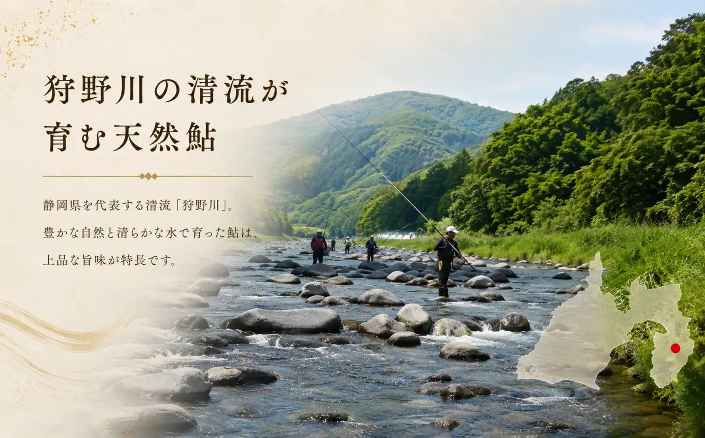 天然狩野川鮎の甘露煮　3本セット　/ 鮎 天然 狩野川 甘露煮 国産 静岡県 伊豆市 狩野川 清流育ち 無添加 手作り ご飯のお供 おつまみ ギフト 郷土料理　013-001