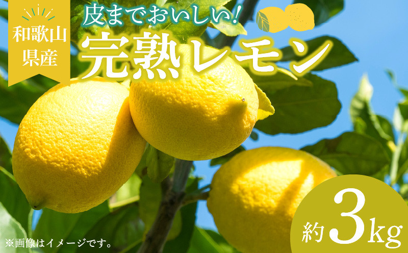 
                  EA6011n_【2027年先行予約】和歌山県産 完熟 レモン 約3kg 皮まで使用可能（栽培期間中農薬不使用）
                