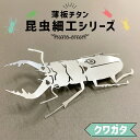 【ふるさと納税】薄板チタン 昆虫細工シリーズ （クワガタ） 岐阜県 可児市 雑貨 インテリア おしゃれ 綺麗 精密加工 芸術 アート 高級素材 チタン 昆虫 木箱 雑貨 虫 送料無料