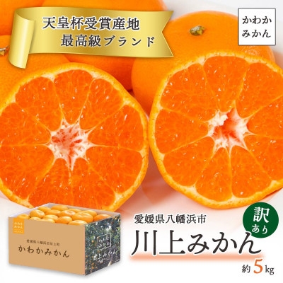 
            ＜天皇杯受賞産地＞ 愛媛県八幡浜市川上町産 温州みかん 約5kg＜訳あり＞＜C25-247＞【1654045】
          