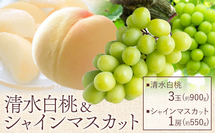 
            【2025年先行予約】清水 白桃 3玉 計約900g（1玉約300g）シャインマスカット 晴王 1房 550g以上 もも 葡萄 詰合せ 岡山 国産 フルーツ 果物 ギフト 桃茂實苑《7月中旬-8月中旬頃出荷》岡山県 浅口市 フルーツ ぶどう 桃 果物 青果【配送不可地域あり】
          