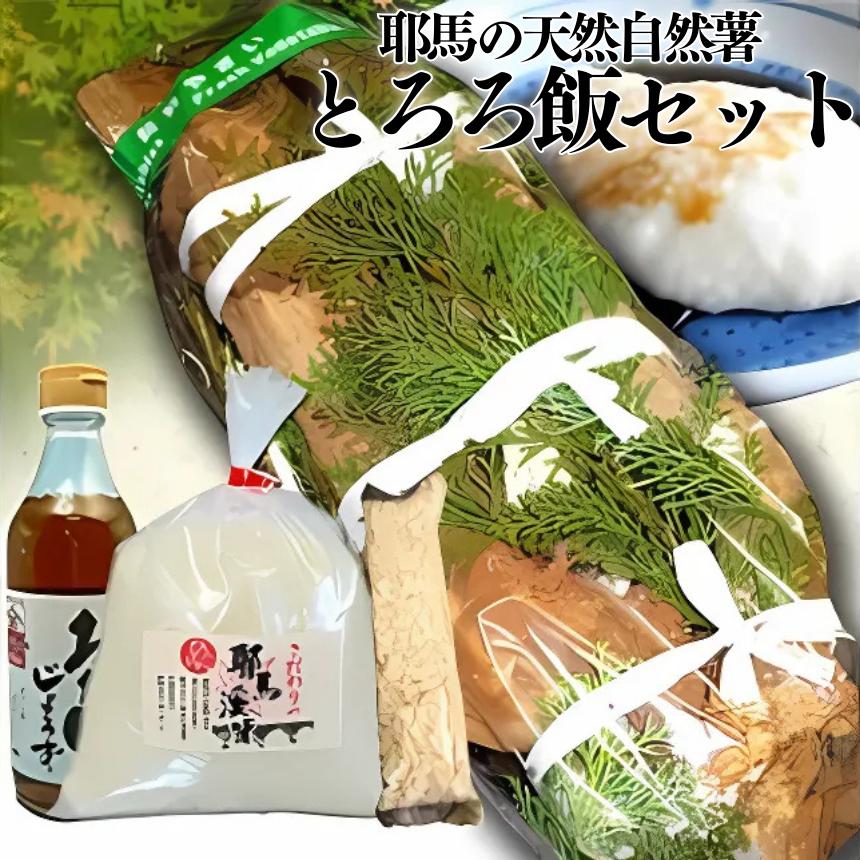 
            【期間限定】耶馬の天然自然薯 とろろ飯セット 耶馬溪産の米ヒノヒカリ1kg 自然薯800g 押麦45g×3 出汁醤油360ml | お米 米 おこめ こめ 白米 精米 耶馬渓米 ご飯 ごはん 天然 自然薯 とろろ飯 セット押麦 出汁醤油 ひのひかり ヒノヒカリ 大分県 中津市
          