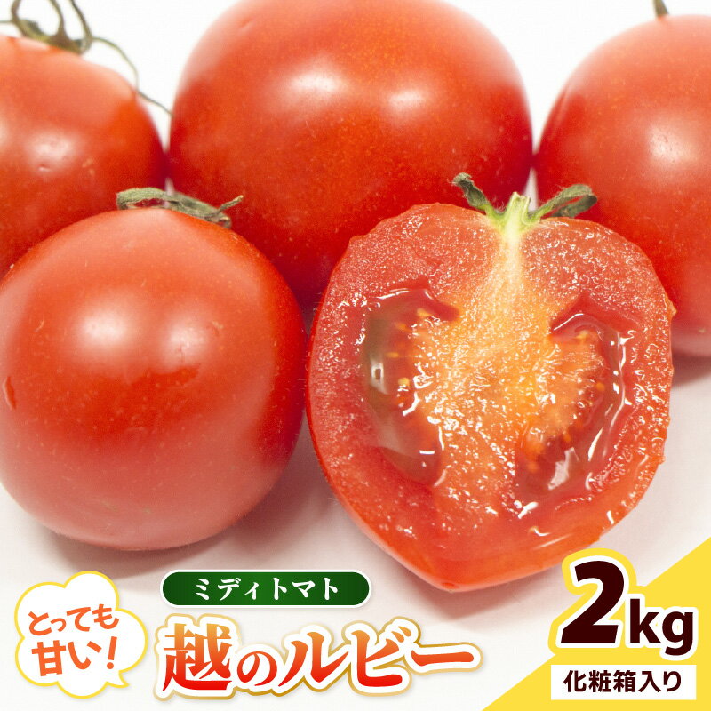 【ふるさと納税】【先行予約】坂井市砂丘地のとっても甘い フルーツトマト 越のルビー 2kg 化粧箱入り【2025年10月上旬以降順次発送予定】【トマト とまと 中玉トマト ミディトマト リコピン 豊富 野菜 生野菜 甘い 高糖度 産地直送 ギフト 贈り物 贈答】