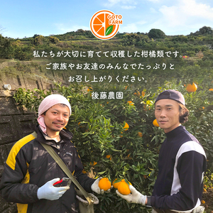 【贈答用】紅甘夏 6玉～8玉 | 甘夏