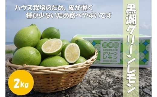 
                  温室 グリーン レモン 2kg 黒潮町 産 グリーンレモン 果物 くだもの フルーツ 柑橘 かんきつ 柑橘類 ハウス栽培 高知県 高知 [1309]
                