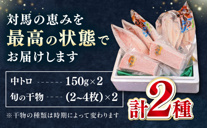 対馬産 本マグロ 中トロ 300g & 旬の干物 2種 《対馬市》【対海】 [WAH001] マグロ まぐろ 鮪 本鮪 本マグロ 養殖 トロ 中トロ 中とろ 刺身 干物 旬 魚 地魚 アジ カマス 冷