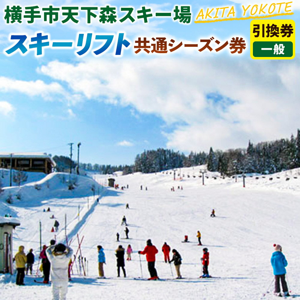 【ふるさと納税】横手市天下森スキー場 スキーリフト共通シーズン券（一般）引換券 ゆうパケット