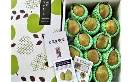 西洋梨（ラ・フランス）５ｋｇ　１０～１４玉　特秀品　0079-2520