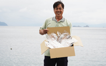 干物 丸干し 開き おまかせセット 2kg 干物