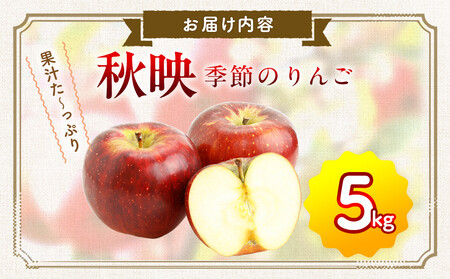 季節のりんご『秋映』（５ｋｇ）（予約制）[ りんご りんご りんご りんご りんご りんご ]