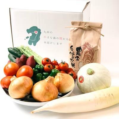 ふるさと納税 小国町 【阿蘇小国町】薬味野菜の里小国ふるさと野菜とお米(あきげしき)5kgの詰め合わせ