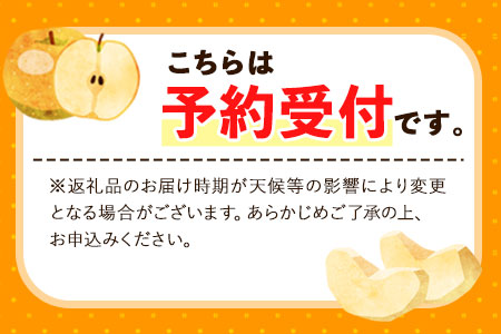 【先行予約】愛宕梨 約3.5～4kg(3～6玉前後) 期間限定 なし フルーツ 果物 新鮮 常温便《11月下旬-12月末頃出荷》熊本県 荒尾市産 目野果実直売所 美味しい梨 旬の梨 ジューシー梨 フル