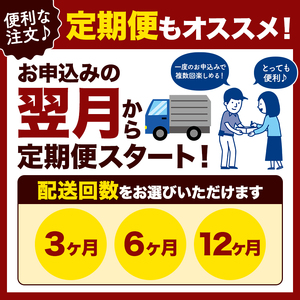 【定期便 6回】 千葉県産 焼き海苔 ≪ 特 ≫ 10帖 | 保存袋付き ワンランクアップ 江戸前 100枚 吉田海苔 海苔 焼きのり 焼き海苔 のり ノリ 大容量 魚介 海藻 人気 小分け 人気 定