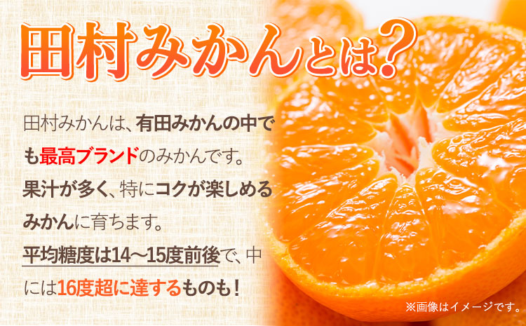 【先行予約】田村みかん 秀品 5kg(サイズおまかせ)とち亀物産 紀伊国屋文左衛門本舗《2024年11月下旬-1月中旬頃出荷予定》和歌山県 日高町 田村みかん 有田みかん みかん 果物 フルーツ ブラ