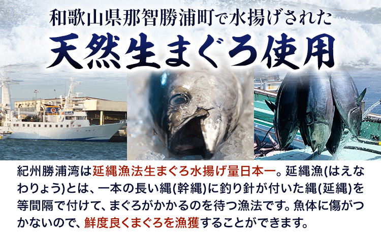 那智勝浦直送 天然もちもち生ビン長まぐろとまぐろたたきセット 2人前 株式会社魚鶴商店《30日以内に出荷予定(土日祝除く)》 和歌山県 日高町 まぐろ 魚 マグロ たたき ねぎとろ 海鮮 鮪 魚介 さ