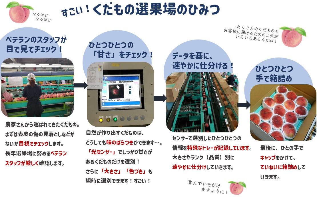 糖度センサー選別だから安心です！