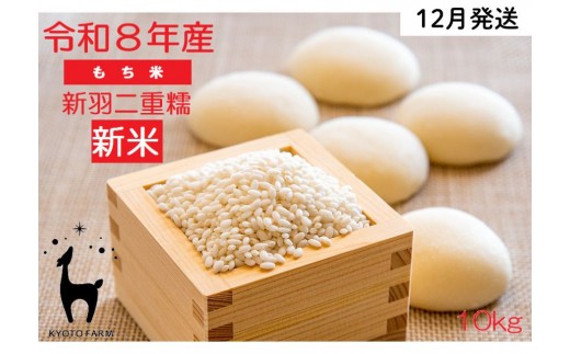 【新米先行受付】【京都ファーム】令和8年産 京都ファームのもち米 新羽二重糯10kg 12月発送| 京北 人気 米［ 京都 京北産 もち米 人気 おすすめ 米 コメ おこめ お取り寄せ 通販 送料無料 ふるさと納税 ］