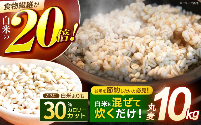 長崎県産 丸麦 10kg / 麦 むぎ 雑穀 雑穀米 麦ごはん 麦飯 麦みそ 食物繊維 長崎県産 米 こめ コメ ※ / 諫早市 / 有限会社伊東精麦 [AHBU005]