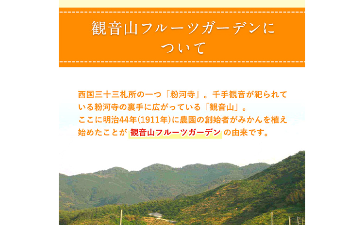 観音山ドライフルーツ（桃）30g1個 有限会社柑香園 《30日以内に出荷予定(土日祝除く)》 和歌山県 紀の川市 フルーツ 果物 桃 もも ドライフルーツ 送料無料