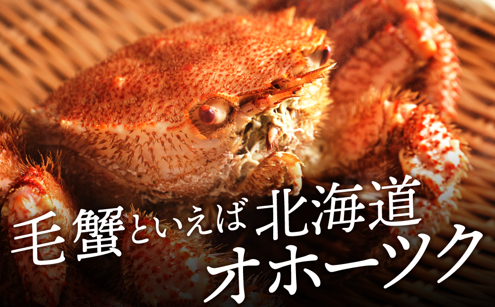 ☆北海道産 毛ガニ 約500g×1尾　かに 蟹 毛蟹 冷凍 北海道産 浜頓別町
