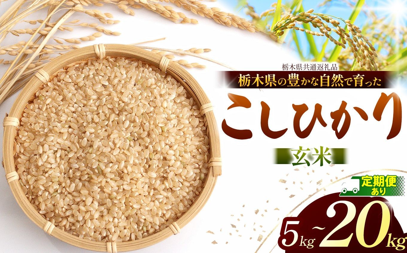 
                  【先行予約】こしひかり（玄米）選べる内容量 約 5kg ~約 20kg 栃木県共通返礼品｜コシヒカリ 米 玄米 おいしい お米 こめ おこめ  国産 ごはん ご飯 白飯 米 おこめ 限定 ランキング 人気  ふるさと 納税 栃木県 那珂川町 送料無料
                