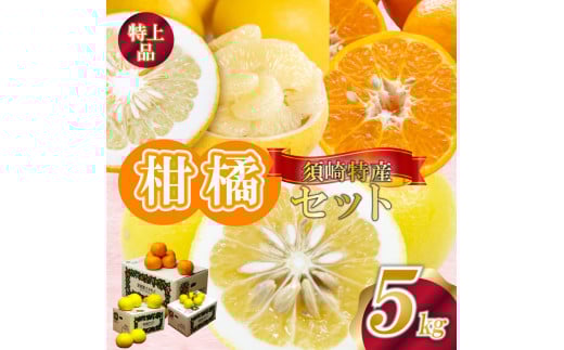 【定期便3回】 限定 30セット 訳あり 各5kg 家庭用 定期便 大小混合 果物 ぽんかん 土佐 文旦 小夏 セット 季節 人気 旬 フルーツ 旬の果物 旬のフルーツ 柑橘 蜜柑 みかん mikan 柑橘定期便 柑橘類 詰合せ 詰め合わせ オレンジ フルーツ 果物 お取り寄せ 家庭用 フルーツジュース 果物定期便 果物の詰合せ 高知県 須崎市 KJS10000 3回 3カ月 3か月 3ヶ月