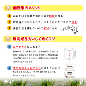 SM0025　11月中旬発送開始／【隔月6回定期便】無洗米はえぬき　5kg×6回(計30kg)　農家直送『いいあん米』AG