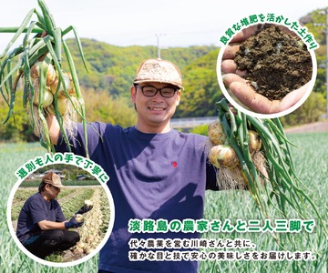 【予約販売】海月館 自社農場栽培！淡路島産 新玉ねぎ 10kg