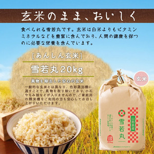 【2026年3月上旬発送】令和7年産 【 あんしん玄米 】 雪若丸 20kg 米 玄米 山形 07-01-187-03A