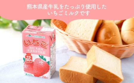 いちごミルク 250ml×24本 1ケース 紙パック 常温保存可能