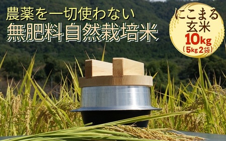 米 自然栽培米 にこまる 玄米 10kg（5kg×2袋） 米 京都丹波産米 無農薬米栽培 厳選品種米