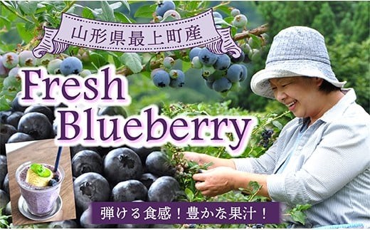 【フレッシュ】最上町産ブルーベリー1kg ※発送は7月のみになります。