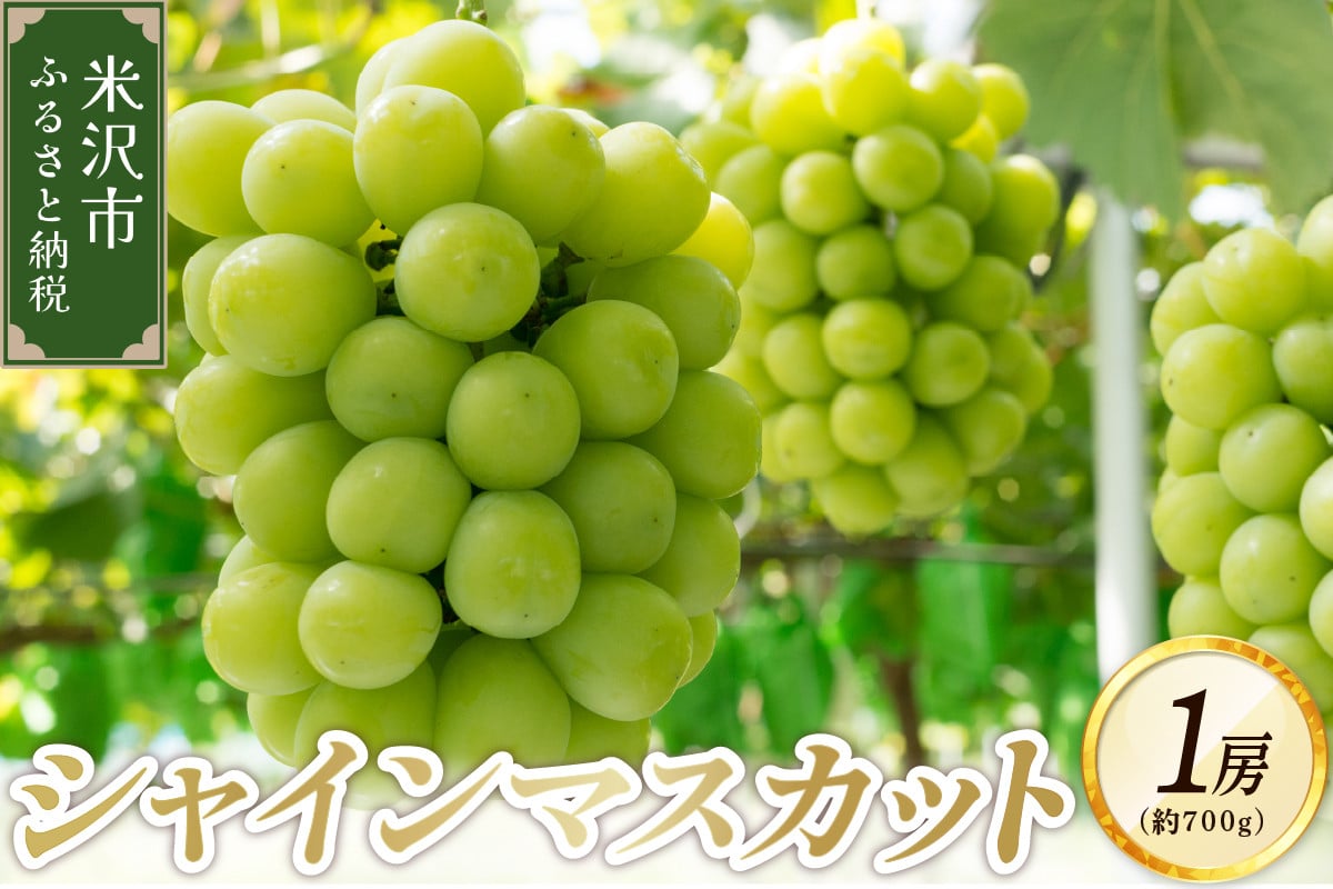 
            《先行予約》【令和8年産】ぶどう シャインマスカット 1房 （700g） 10月上旬頃～ お届け 2026年産 
          