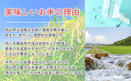 【期間限定寄附額】最高評価「特A」令和7年産 岡山県産米「 にこまる」 10kg　＜8月発送＞