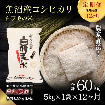 ふるさと納税 十日町市 【毎月定期便】農家直送!魚沼産コシヒカリ 精米(5kg×1袋)全12回