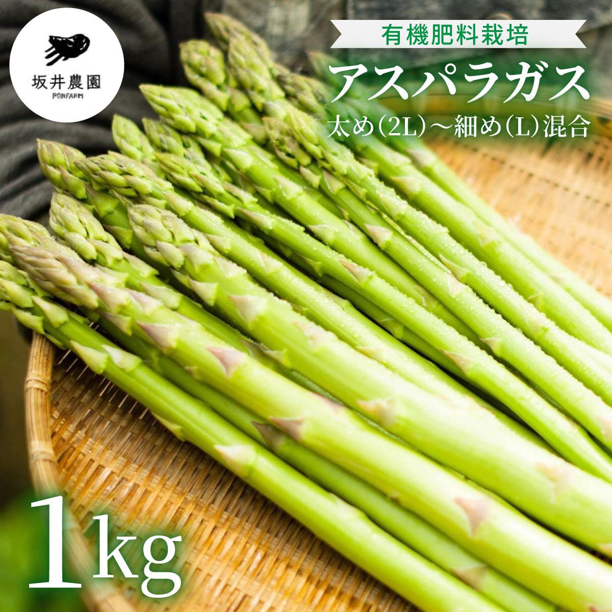 【ふるさと納税】アスパラガス 1kg （6月下旬より発送）| 2L L 春芽 新鮮 産地直送 アスパラ グリル サラダ 送料無料 福岡県 那珂川市