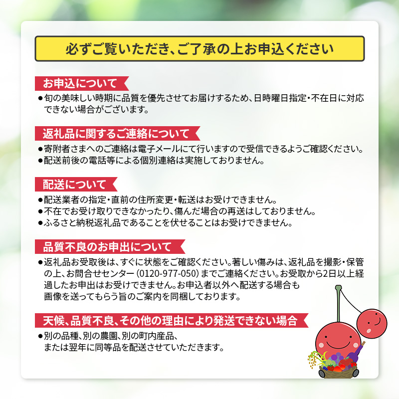 2024年8月発送北海道 仁木町産 いちご 「 すずあかね 」 (M30粒) 果物類 果物 くだもの 苺 イチゴ フルーツ [今野農園]