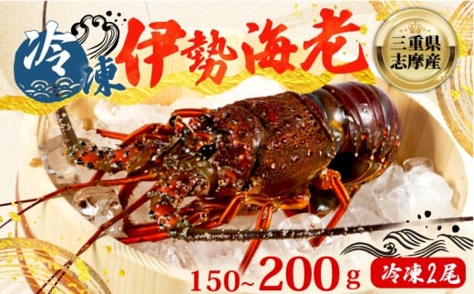伊勢海老 150 ~ 200g 冷凍 2尾 数量限定 期間限定 伊勢海老 伊勢エビ 伊勢 海老 エビ イセエビ 刺身 焼き物 お味噌汁 鍋 ボイル エビフライ アレンジ可 新鮮 海鮮 ギフト 贈答 三重県 志摩市