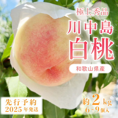 桃先行受付!　【川中島白桃】　(大玉特秀品)　約2kg　6～9個入　こだわり農家厳選!【配送不可地域：離島】