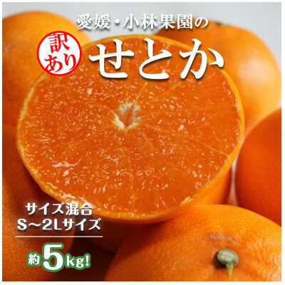【ふるさと納税】★訳アリ★【数量限定500箱】　愛媛・小林果園のせとか　約5キロ【D24-38】【1711119】