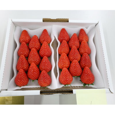 【ふるさと納税】紅ほっぺ・きらぴ香食べ比べセット(各2パック　計4パック)【配送不可地域：離島・北海道・沖縄県・四国・九州】【1676911】