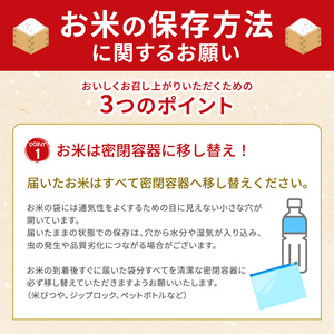 お米 ミルキークイーン 5kg 令和6年産 近江米 お米